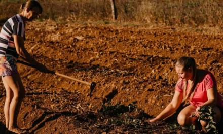 Educação no campo: projeto pioneiro do ARISE mostra em minidocumentário como mudar a realidade de jovens no campo