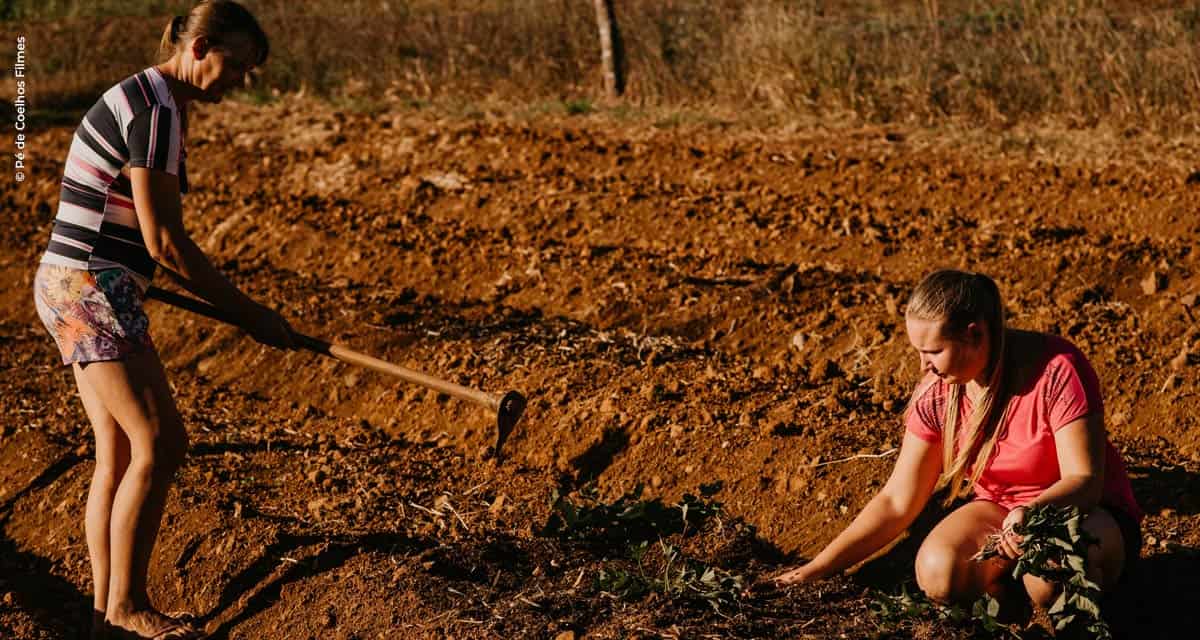 Educação no campo: projeto pioneiro do ARISE mostra em minidocumentário como mudar a realidade de jovens no campo