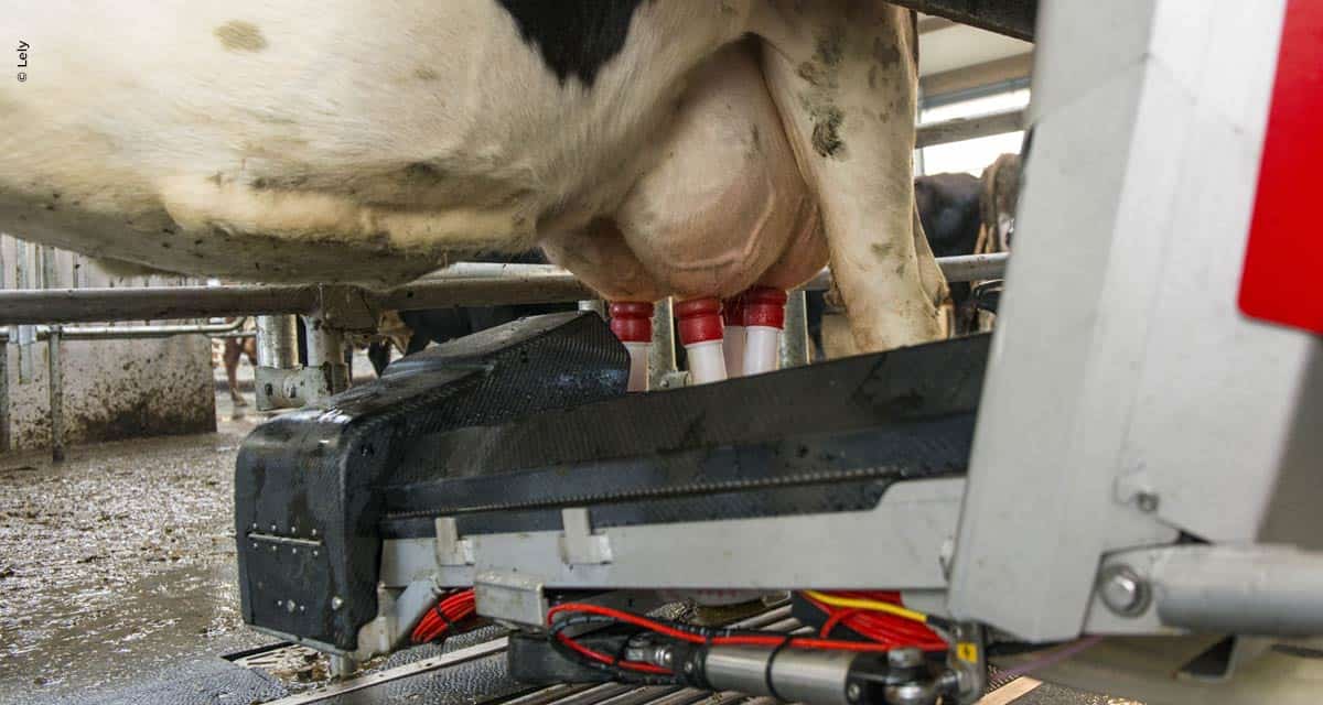 Tecnologia de automação em robô de ordenha oferece maior eficiência produtiva à propriedade leiteira