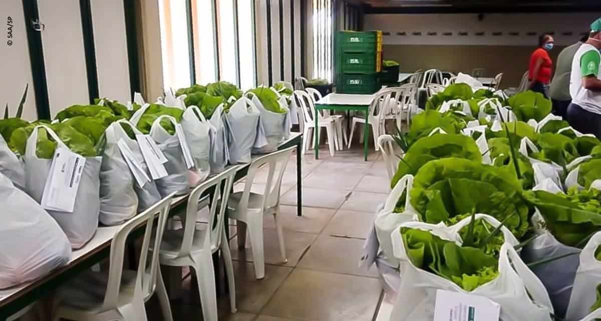 Associação de pequenos agricultores agroecológicos obtém renda e consegue escoar parte da produção com entrega de cestas adquiridas pela Prefeitura de Cruzeiro