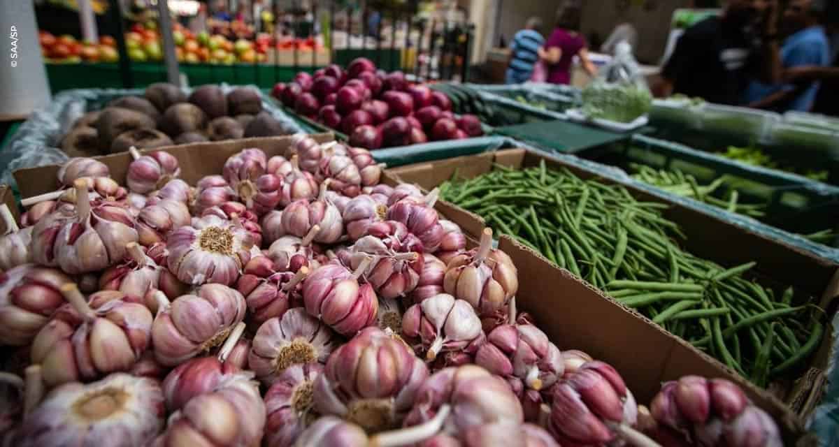 Consumidor pode relatar falta de produtos e preços abusivos nos estabelecimentos por meio de site criado pela Secretaria de Agricultura e Abastecimento de SP