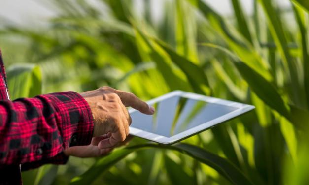 Pandemia vai transformar áreas do agro e acelerar digitalização de produtores