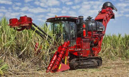 Colhedora de cana da Case IH é, mais uma vez, a mais lembrada pelo agricultor