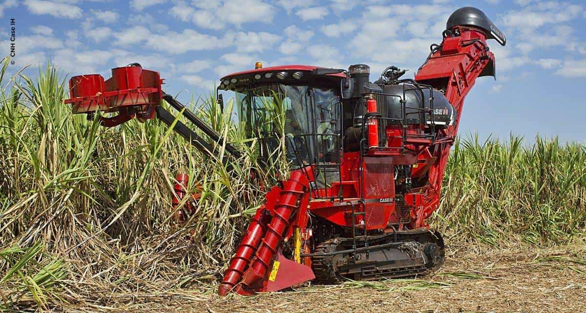 Colhedora de cana da Case IH é, mais uma vez, a mais lembrada pelo agricultor