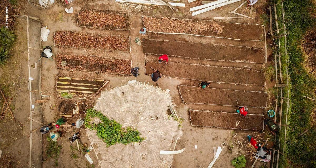 Curso gratuito em Agrofloresta trará fundamentos e caso real