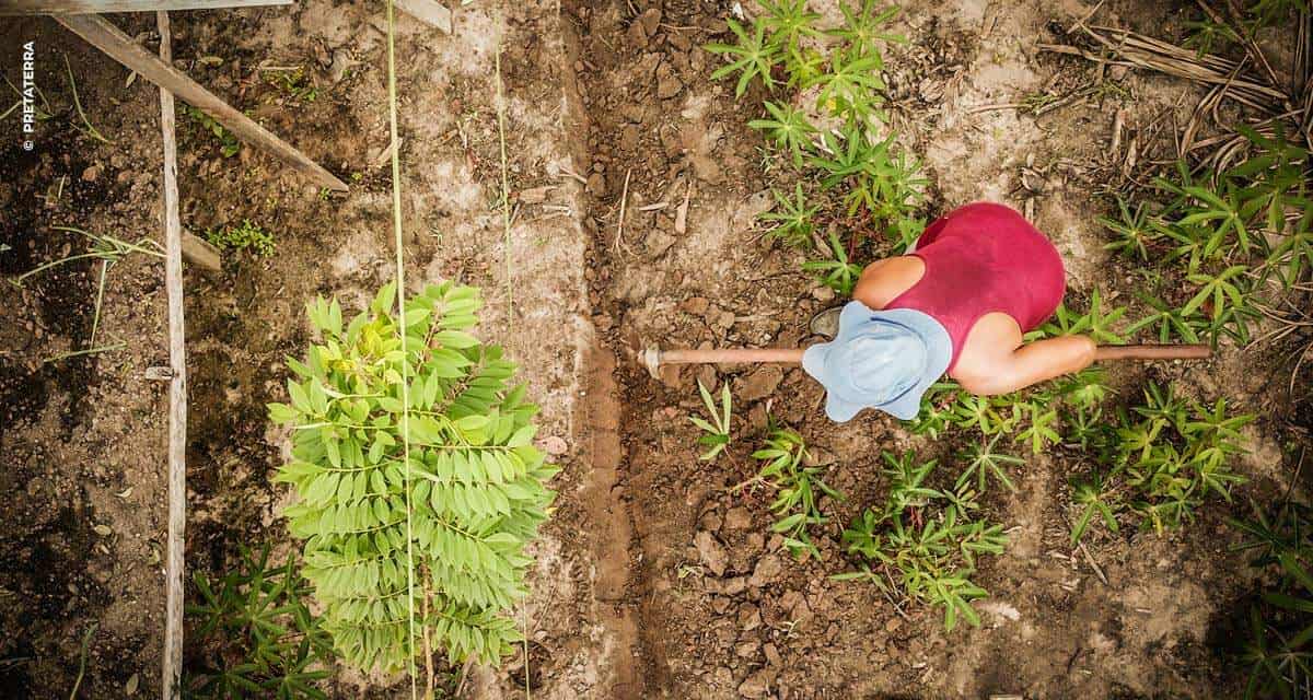 Agrofloresta e o pós-Covid19: a reconstrução do mundo produtivo pela ótica da natureza