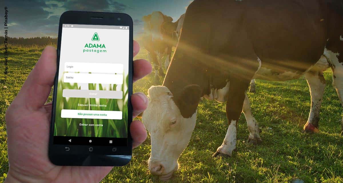 ADAMA lança aplicativo exclusivo para o manejo de pastagens