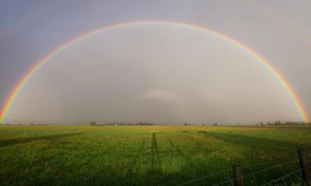 Para o infinito…e além! O reskilling no agro