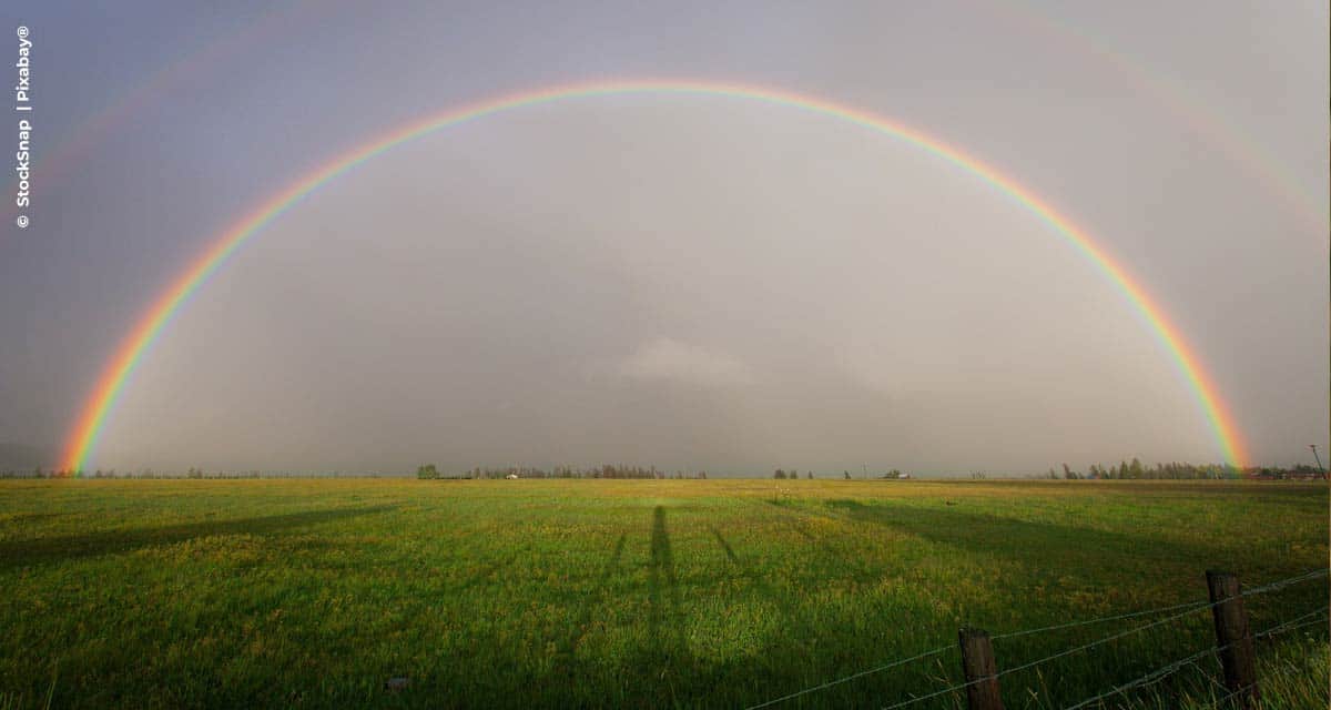 Para o infinito…e além! O reskilling no agro