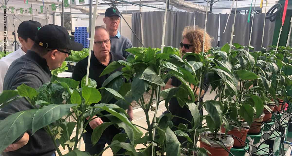 Agro brasileiro vai a Israel por novas tecnologias e negócios