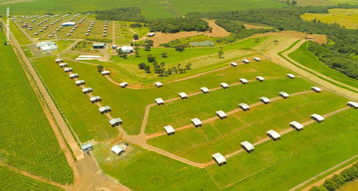 Central Bela Vista completa três anos em Botucatu, SP, com 8,5 milhões de doses produzidas