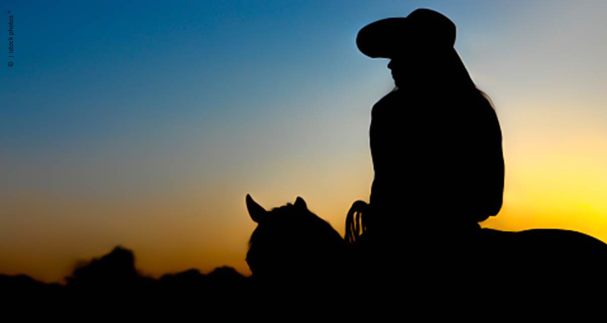 Liderança: o protagonismo da mulher no agronegócio anticrise e as ações desenvolvidas para enfrentar a pandemia foram temas da 2ª live do CNMA