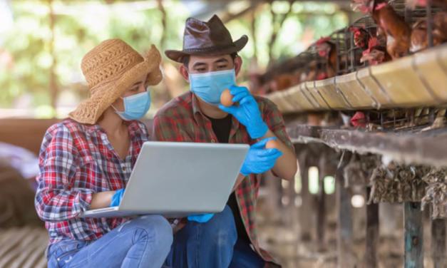 Com pandemia, agricultor brasileiro deve acelerar digitalização