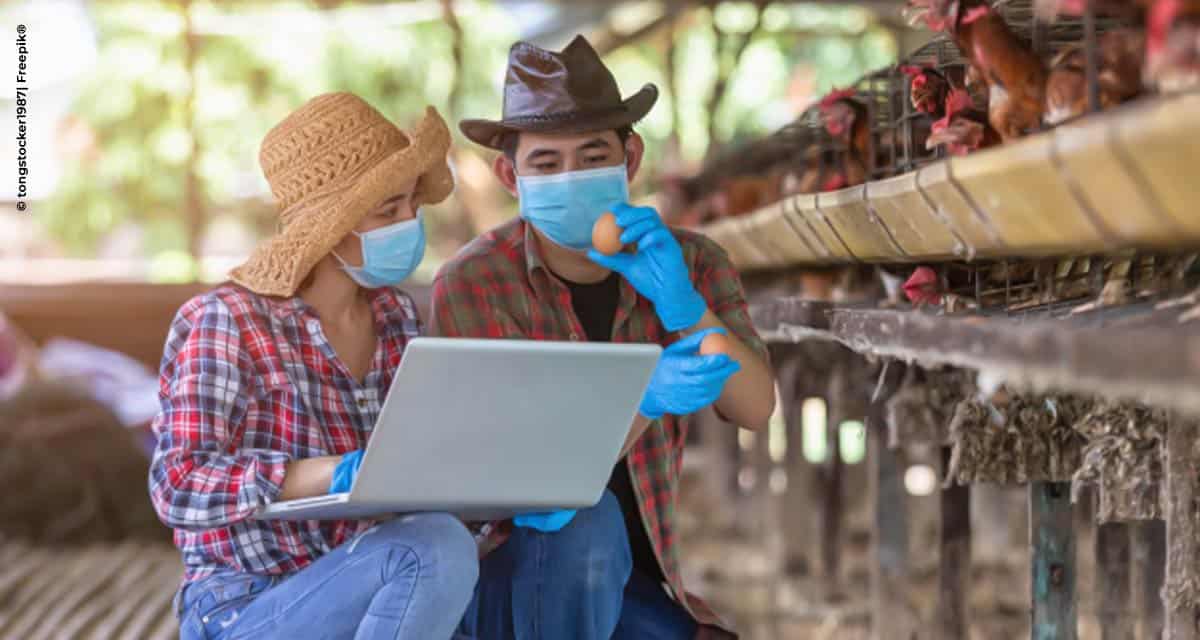 Com pandemia, agricultor brasileiro deve acelerar digitalização