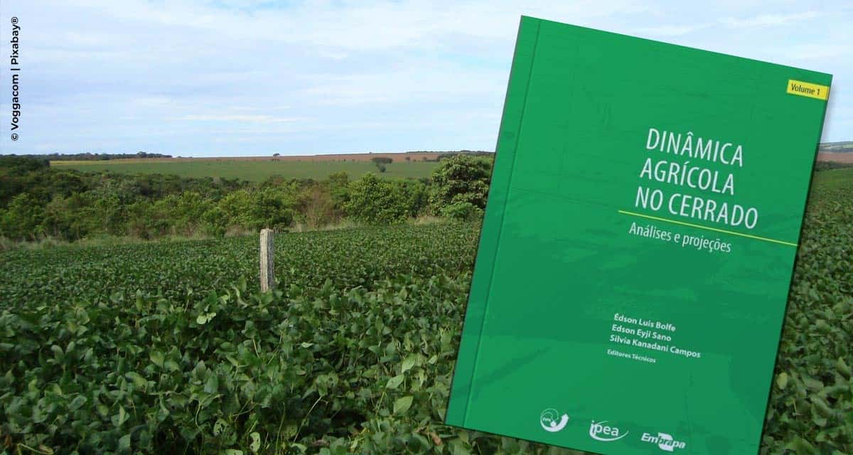 Livro traz abordagem inédita sobre a dinâmica agrícola no Cerrado