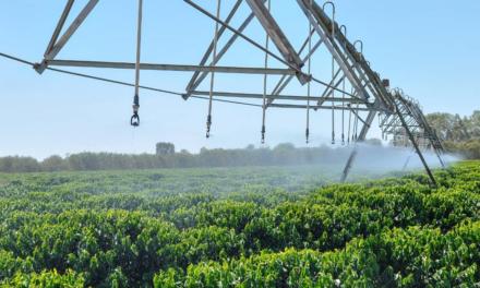 Mitos e Fatos na agricultura irrigada (Parte I)