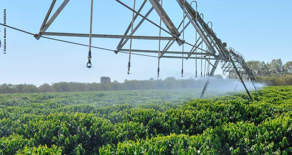 Mitos e Fatos na agricultura irrigada (Parte I)