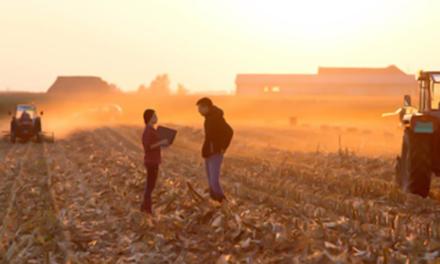 Os desafios da liderança jovem no agronegócio