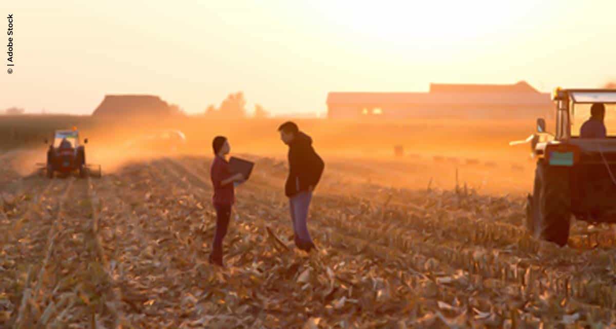 Os desafios da liderança jovem no agronegócio