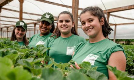 12 de junho – Dia Mundial contra o Trabalho Infantil: OIT reconhece ARISE como exemplo