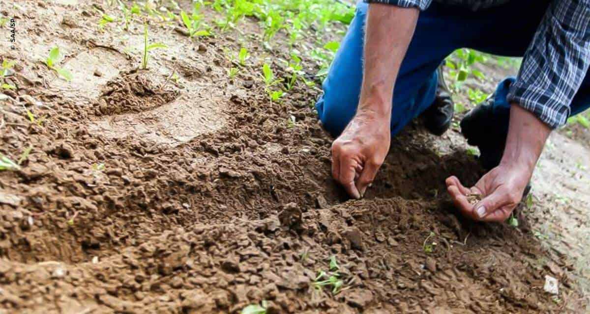 Secretaria de Agricultura e Abastecimento faz raio-x inédito dos impactos da pandemia nos Sistemas Agropecuários do Estado de São Paulo