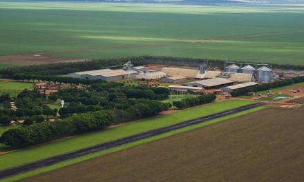 Aumento de conectividade à internet no campo promove melhorias no desempenho das Fazendas da SLC Agrícola