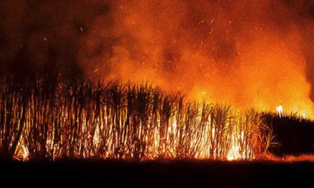 Tereos investe em ações preventivas e de combate a incêndios