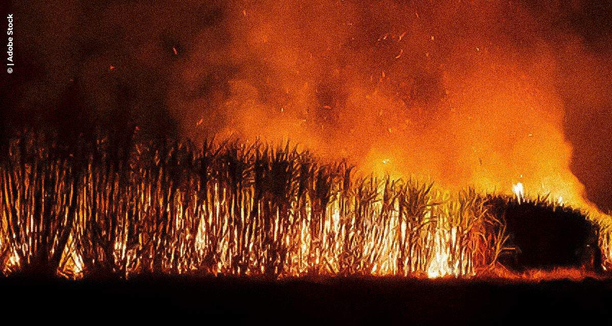 Tereos investe em ações preventivas e de combate a incêndios