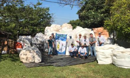 Projeto recolhe 200 toneladas de embalagens vazias de defensivos e distribui mudas a agricultores