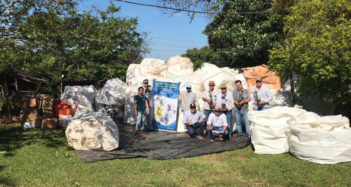 Projeto recolhe 200 toneladas de embalagens vazias de defensivos e distribui mudas a agricultores