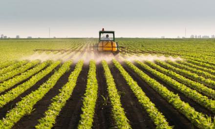 Mercado de fertilizantes especiais apresenta expansão de 7,7% em 2019