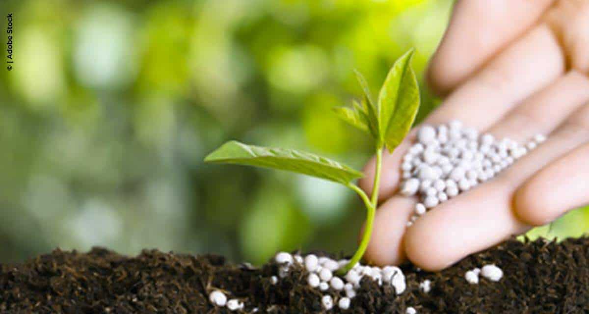 Mercado de fertilizantes: momento é favorável para compra de insumos