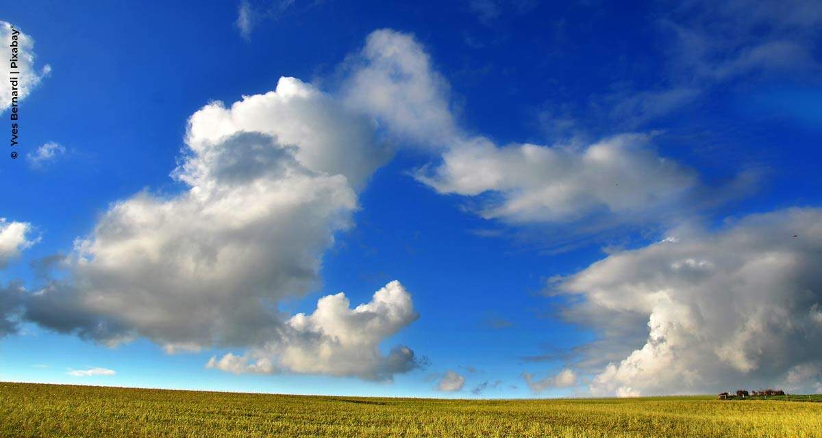 Agricultura de Baixo Carbono no radar do Governo Federal