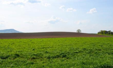 Bayer recompensará agricultores que gerarem créditos de carbono a partir de práticas agrícolas sustentáveis