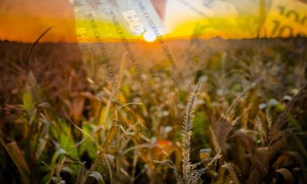 Bloomberg lança o primeiro guia do agronegócio