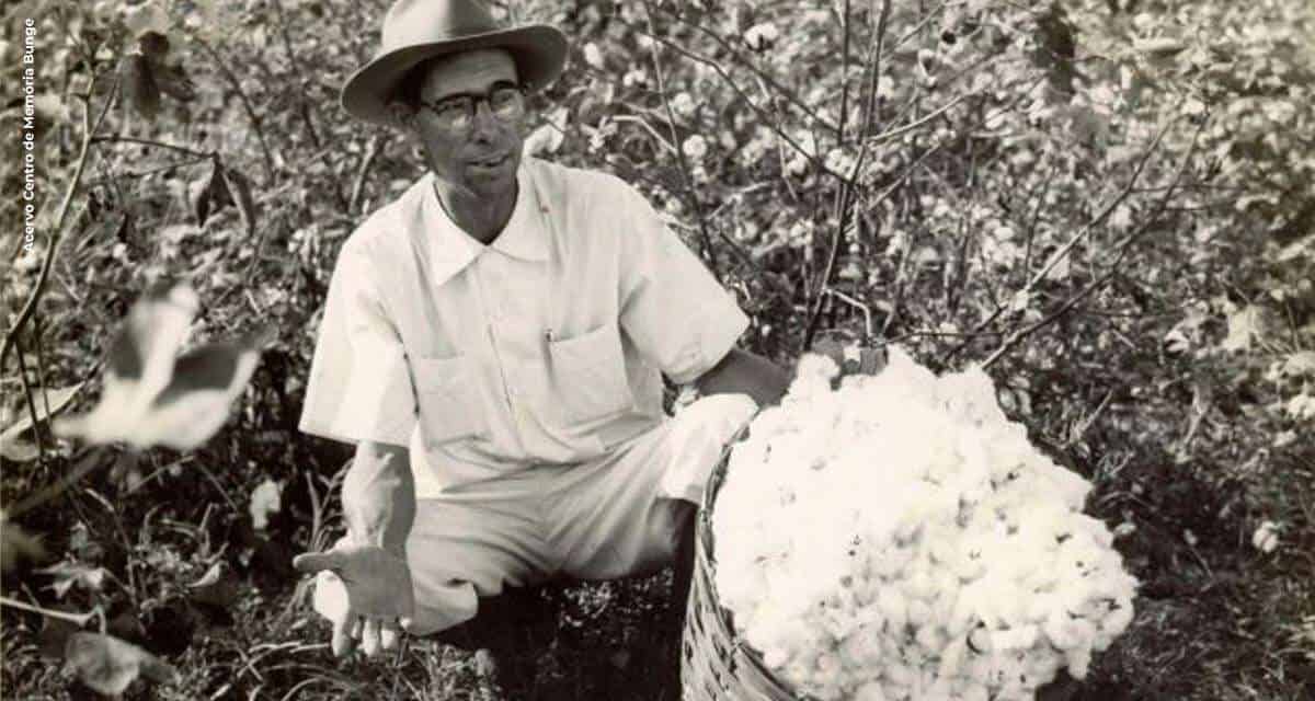 Centro de Memória Bunge relembra uso do algodão nos primórdios da Bunge no Brasil