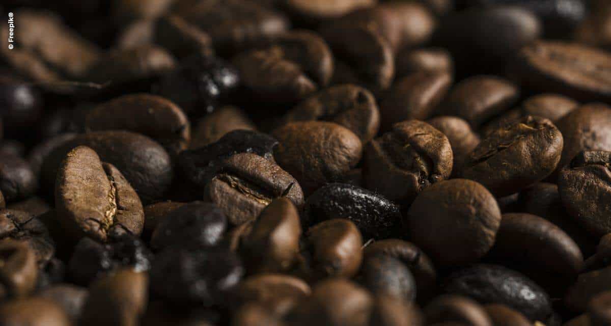 Brasil exporta 40 milhões de sacas de café no ano-safra 2019/20