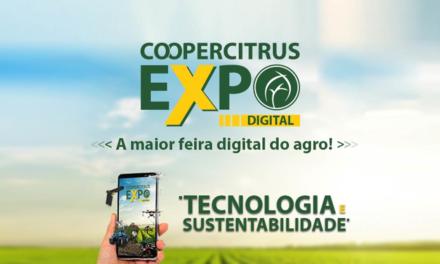 Uma feira para todos: Produtor rural poderá participar da feira por diversos canais