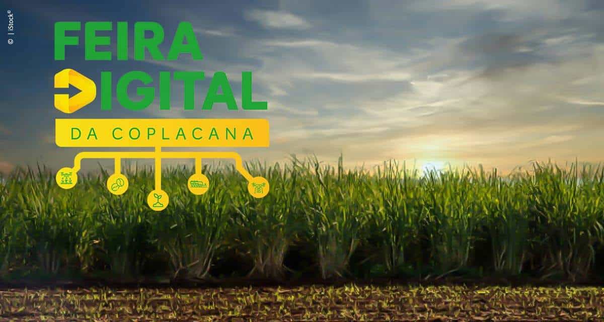 Feira Digital Coplacana: balcão de negócios com boas oportunidades