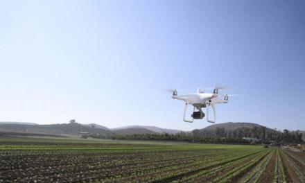 Drone da DJI agiliza avaliações de dados em colheitas na França