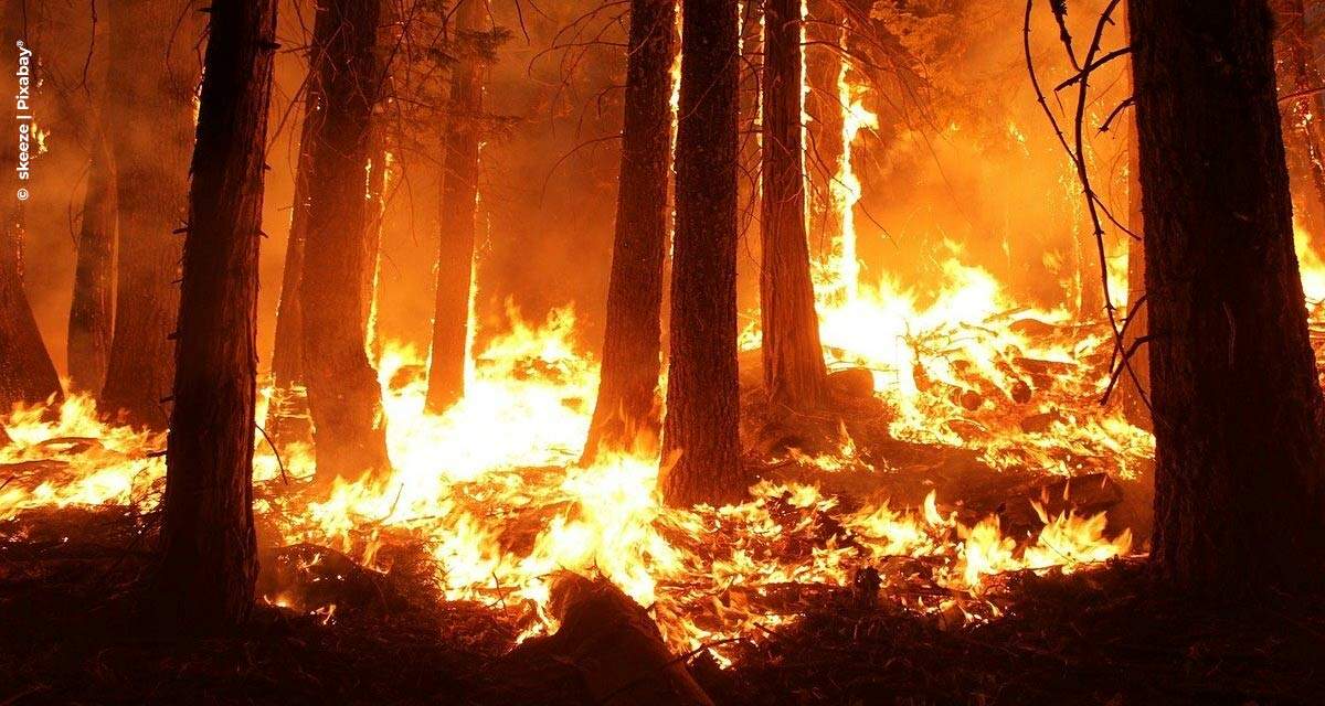 Equipamento detecta e soa alarme para incêndios florestais