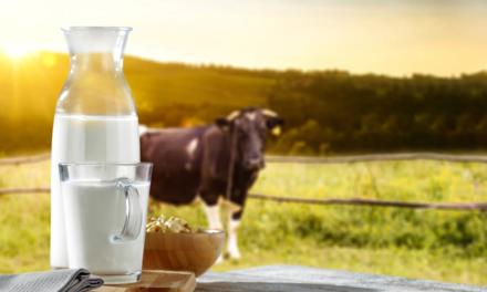 Sustantabilidade no campo: projeto auxilia pequenos produtores de leite durante período de seca