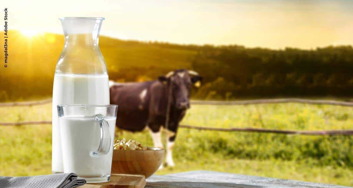 Sustantabilidade no campo: projeto auxilia pequenos produtores de leite durante período de seca