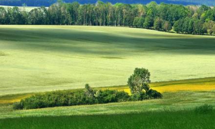 A questão ambiental será mina de ouro ao agro