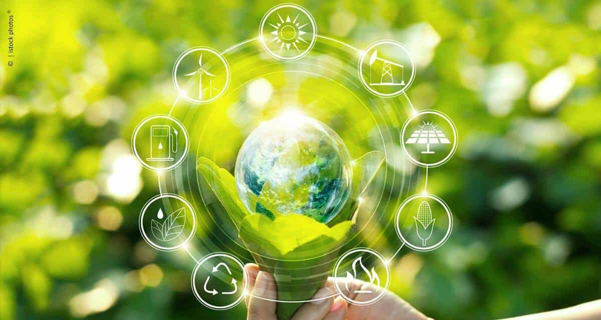 Cinco maneiras de usar a tecnologia para tornar o agronegócio mais sustentável
