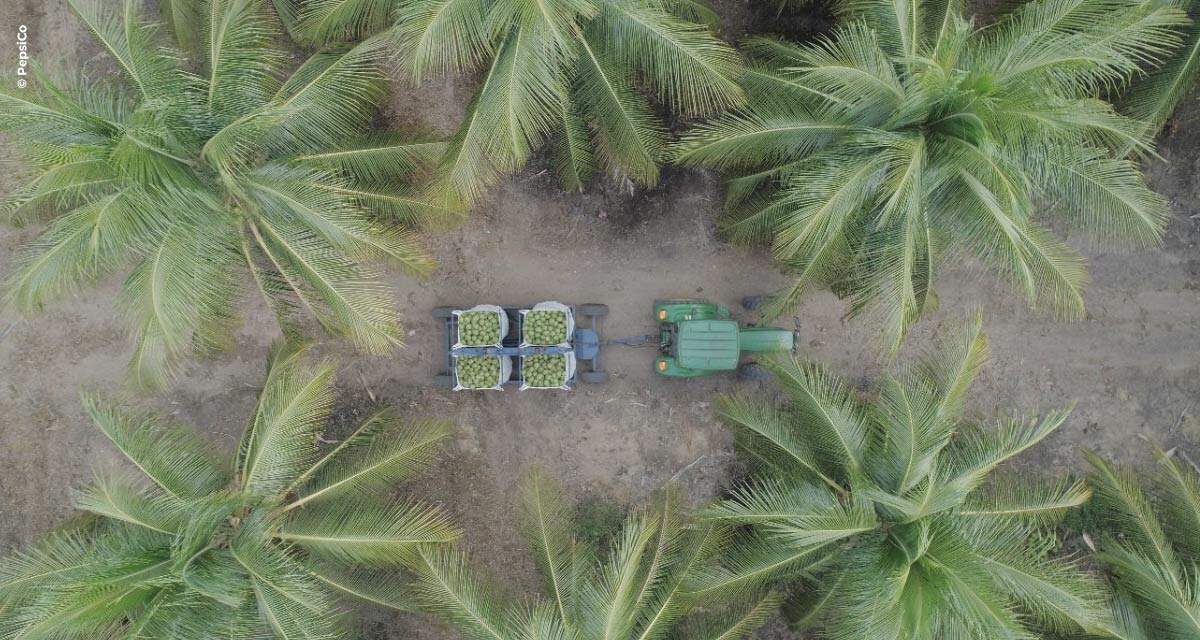 Dia do Agricultor: Programa Agro Coco da PepsiCo beneficia mais de 4 mil famílias na região Nordeste