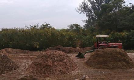 Equipamento permite compostagem acelerada de resíduos orgânicos e utilização de compostos como fertilizante