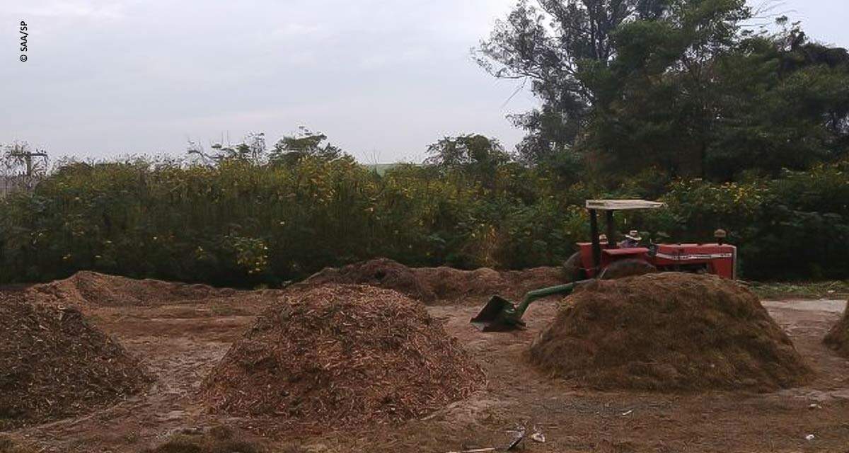 Equipamento permite compostagem acelerada de resíduos orgânicos e utilização de compostos como fertilizante