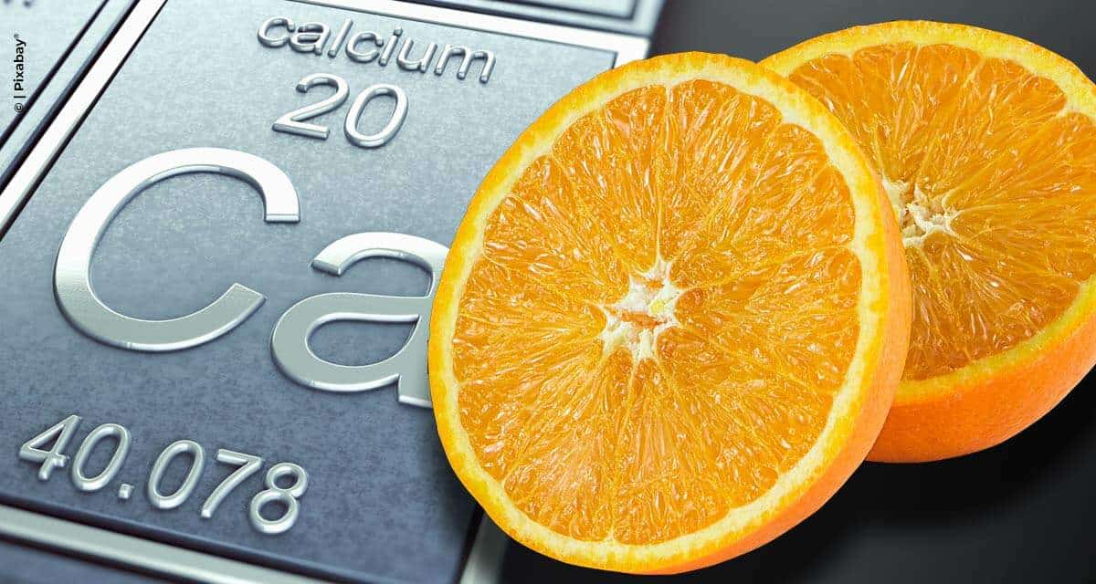 Falta de cálcio na lavoura de citros pode inviabilizar a rentabilidade do citricultor