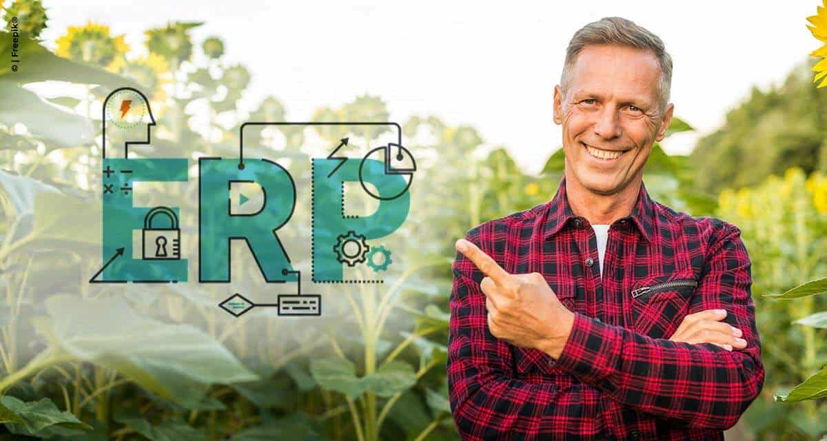 A importância do ERP na gestão do agronegócio